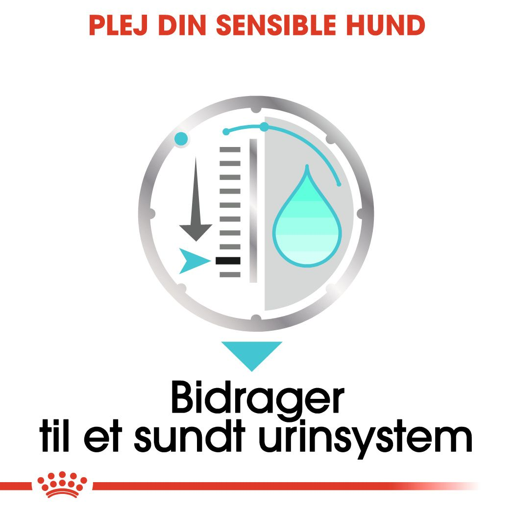 Urinary Care Wet