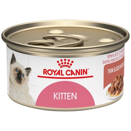 kitten thin slices