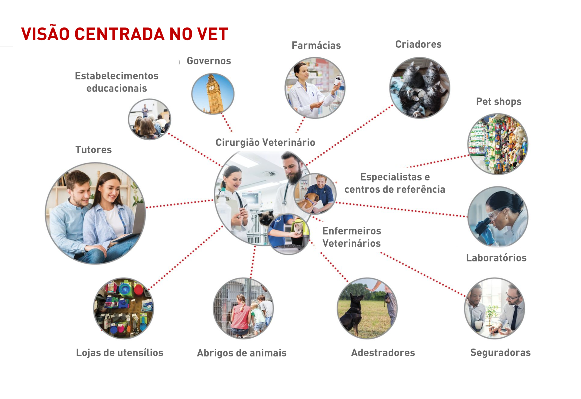 As diversas partes envolvidas vistos do ponto de vista Médico-Veterinário