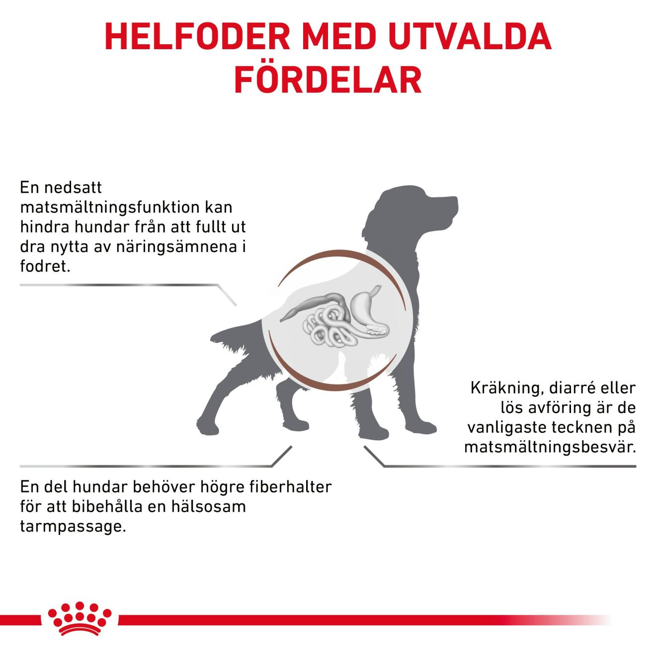 Gastrointestinal High Fibre