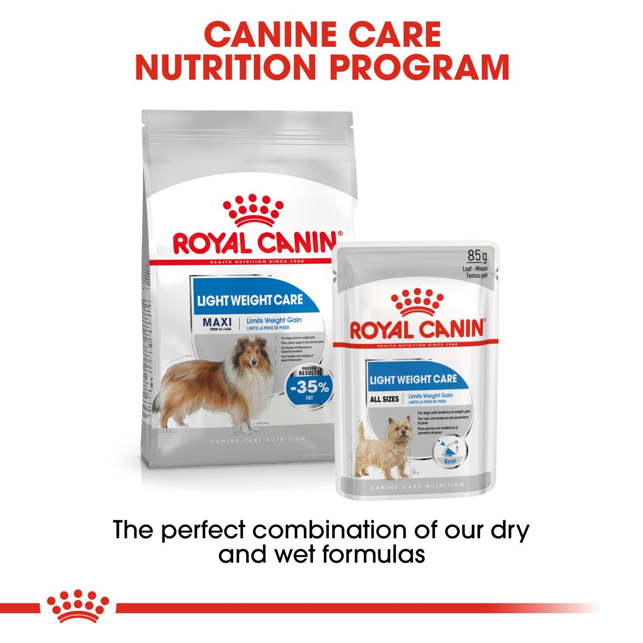 Articulatie Uitvoerbaar andere Maxi Light Weight Care dry | Royal Canin