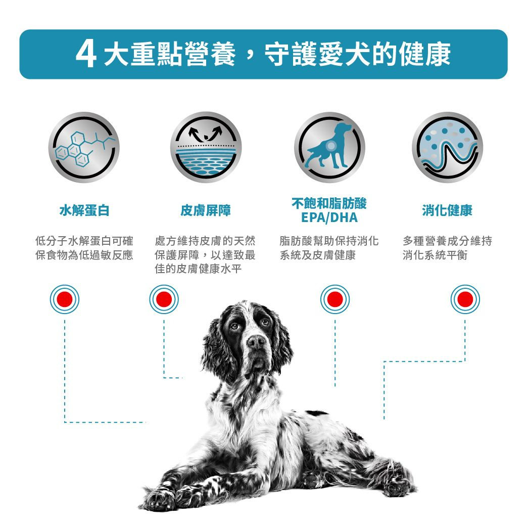 成犬低敏感處方