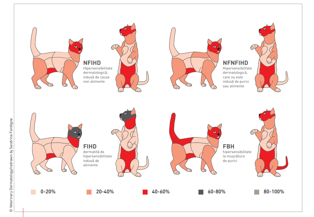 Silhouettes depicting the proportion of distribution of lesions in cats with hypersensitivity dermatides 