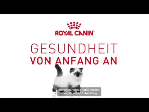 ROYAL CANIN KITTEN