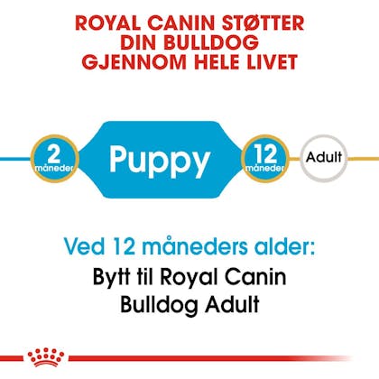 RC-BHN-PuppyBulldog-CM-EretailKit-1-no_NO
