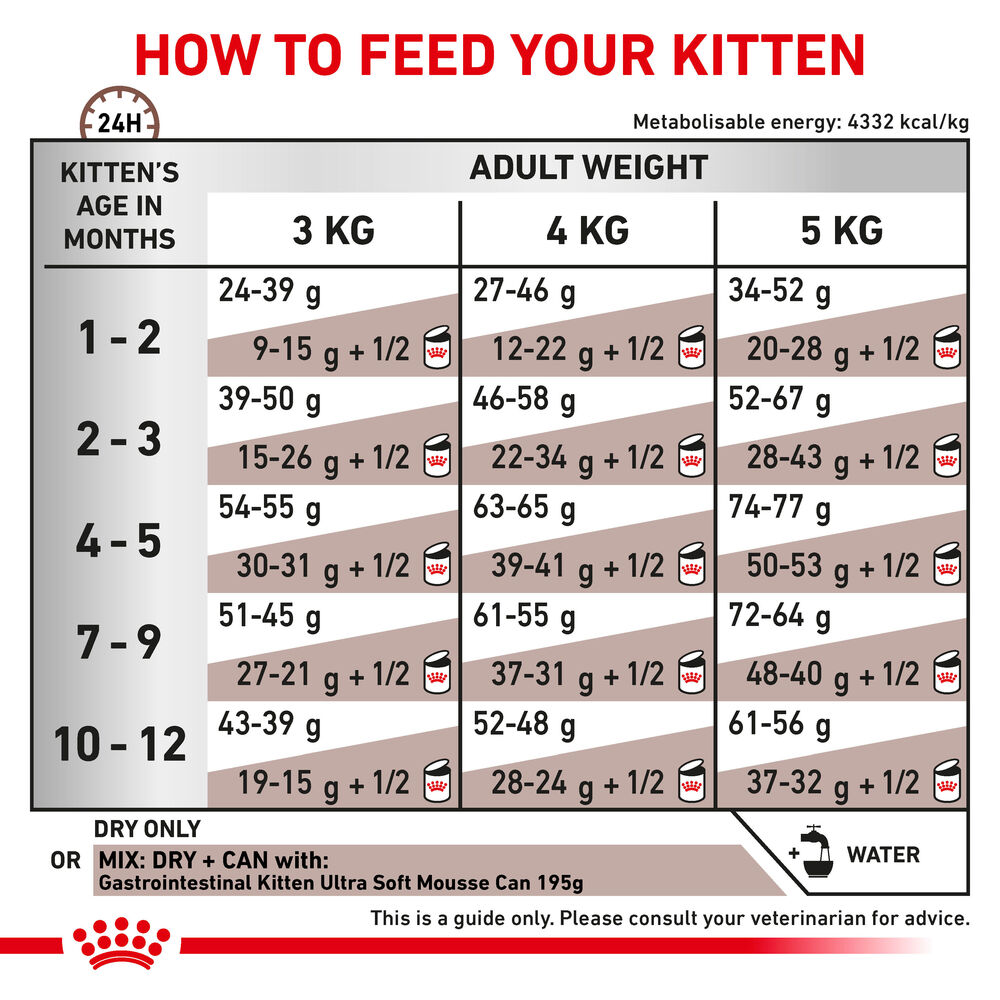 Gastrointestinal kitten food hotsell