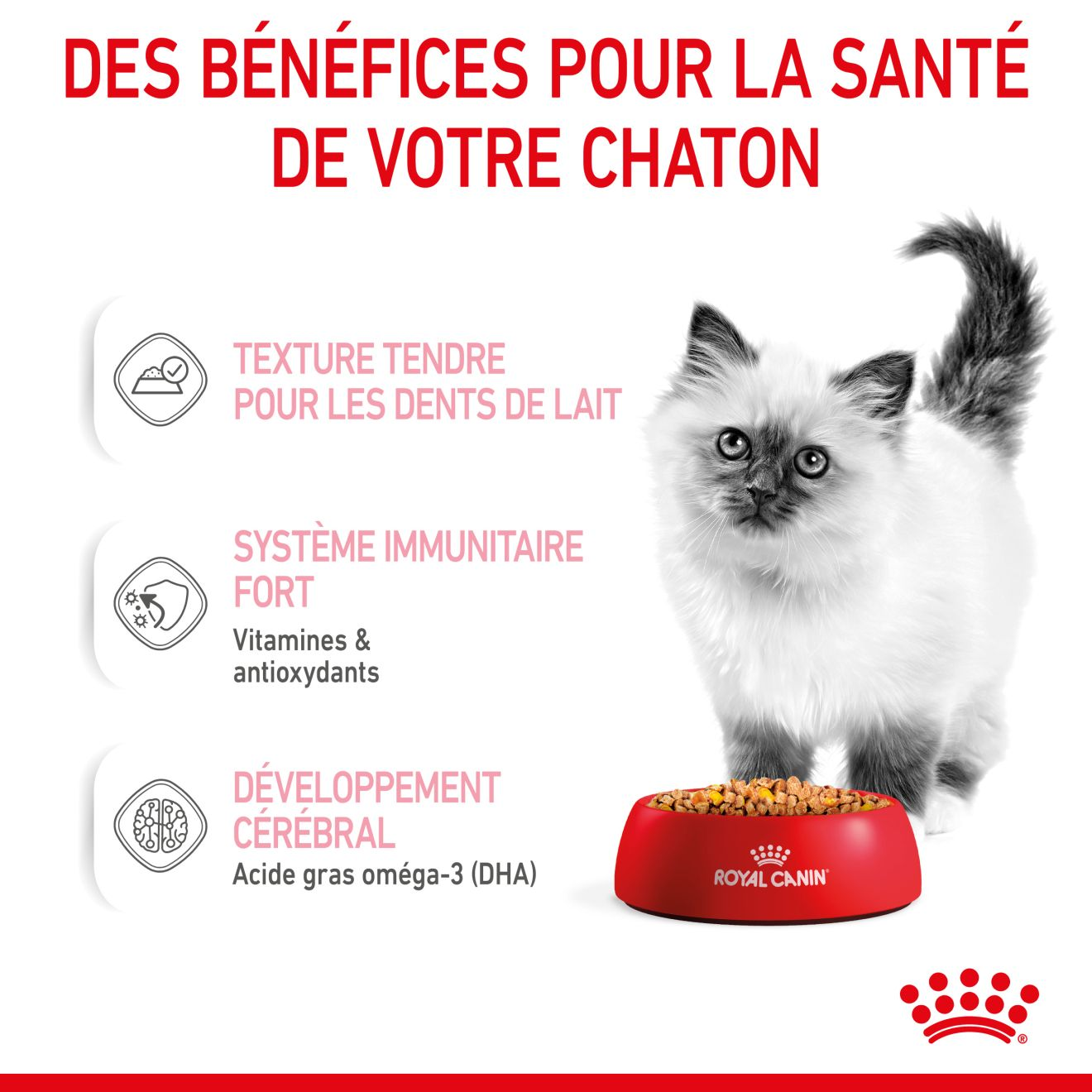 Kitten Gelée - Sachet fraîcheur pour chaton