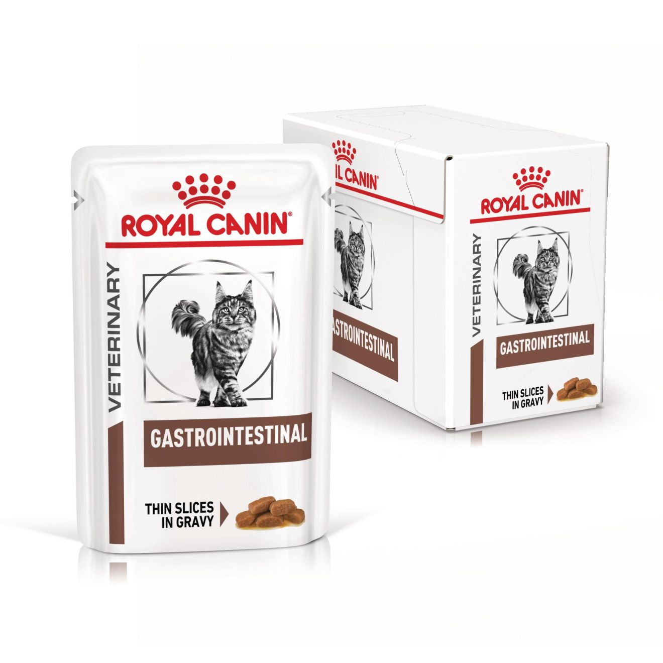 ROYAL CANIN GastroIntestinal Cat Wet kapsička ve šťávě pro kočky trpící onemocněním trávicího traktu