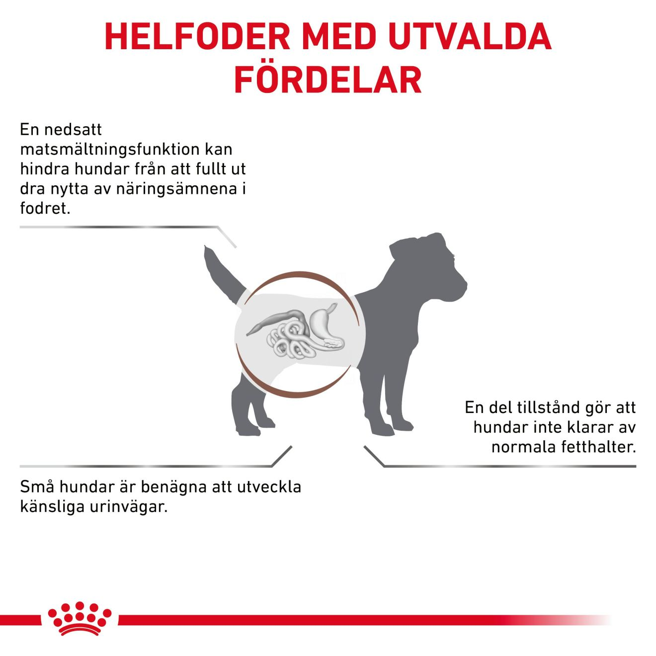 Gastrointestinal Low Fat Small Dog