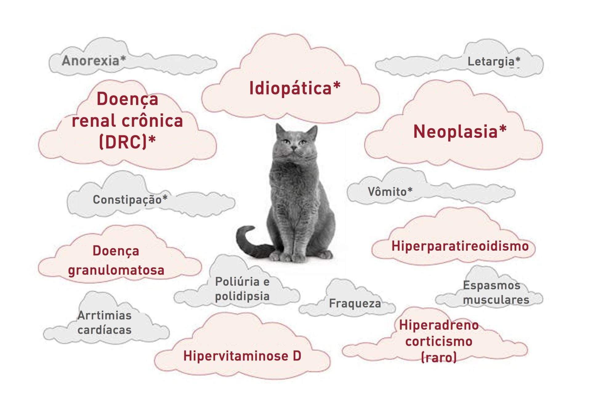 Uma nuvem de palavras representando sinais clínicos (em cinza) e causas (em vermelho) de cálcio ionizado elevado no gato
