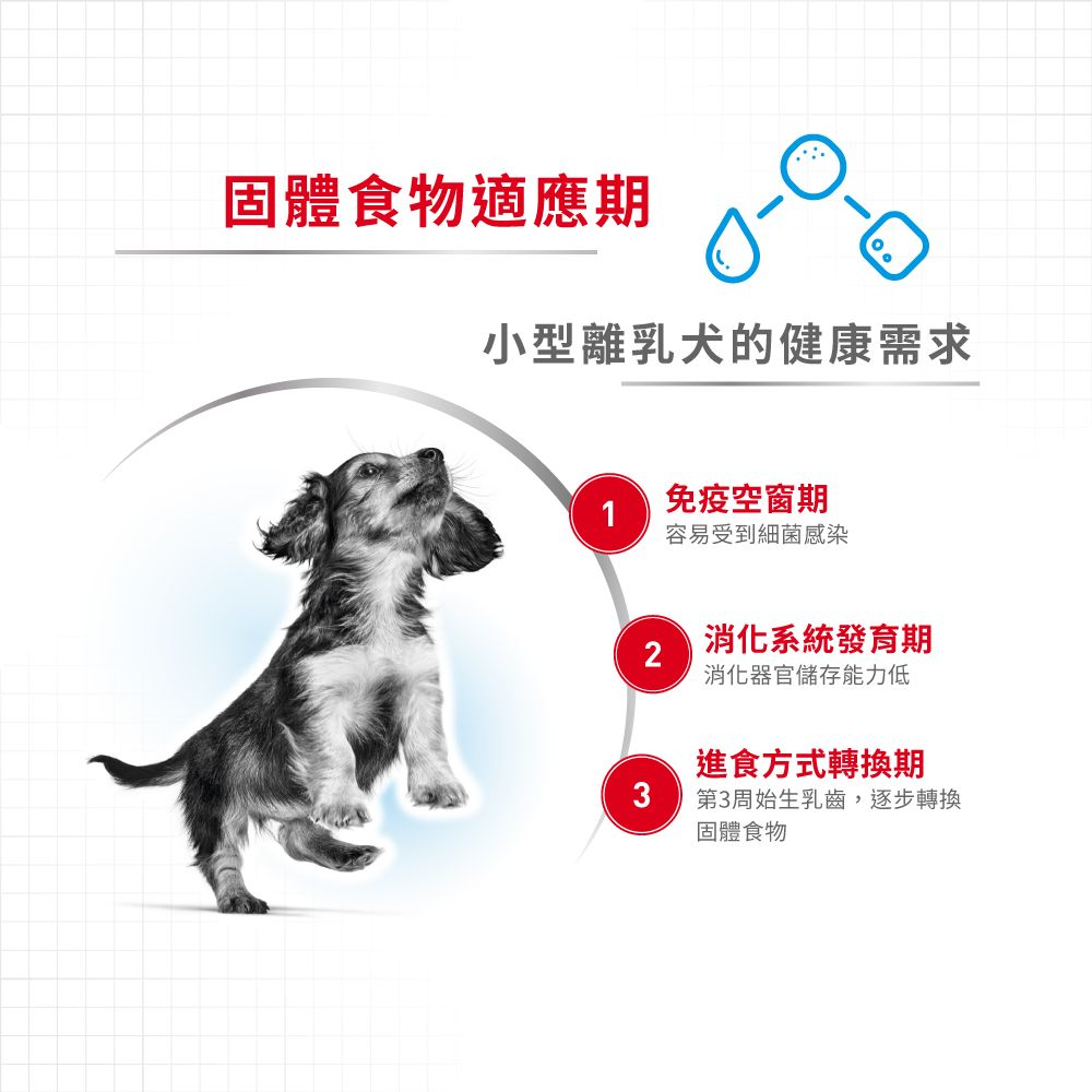 SHN 小型初生犬及母犬營養配方