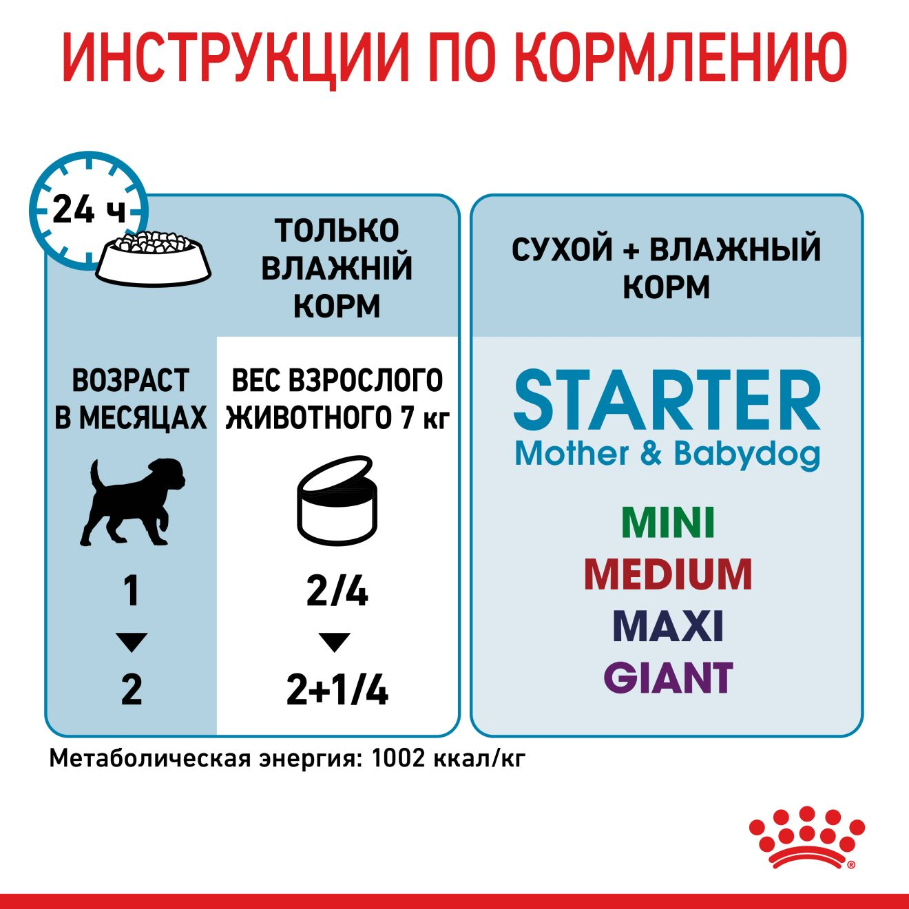 Starter Mousse Mother & Babydog