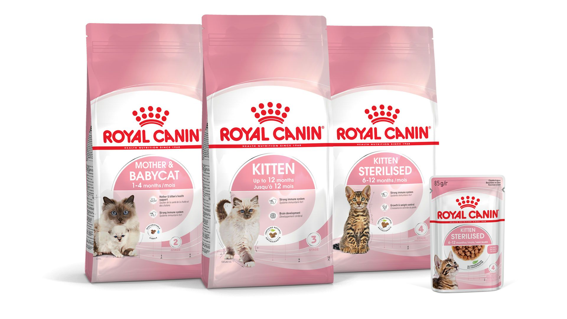 Gama del Programa de crecimiento para gatitos de Royal Canin