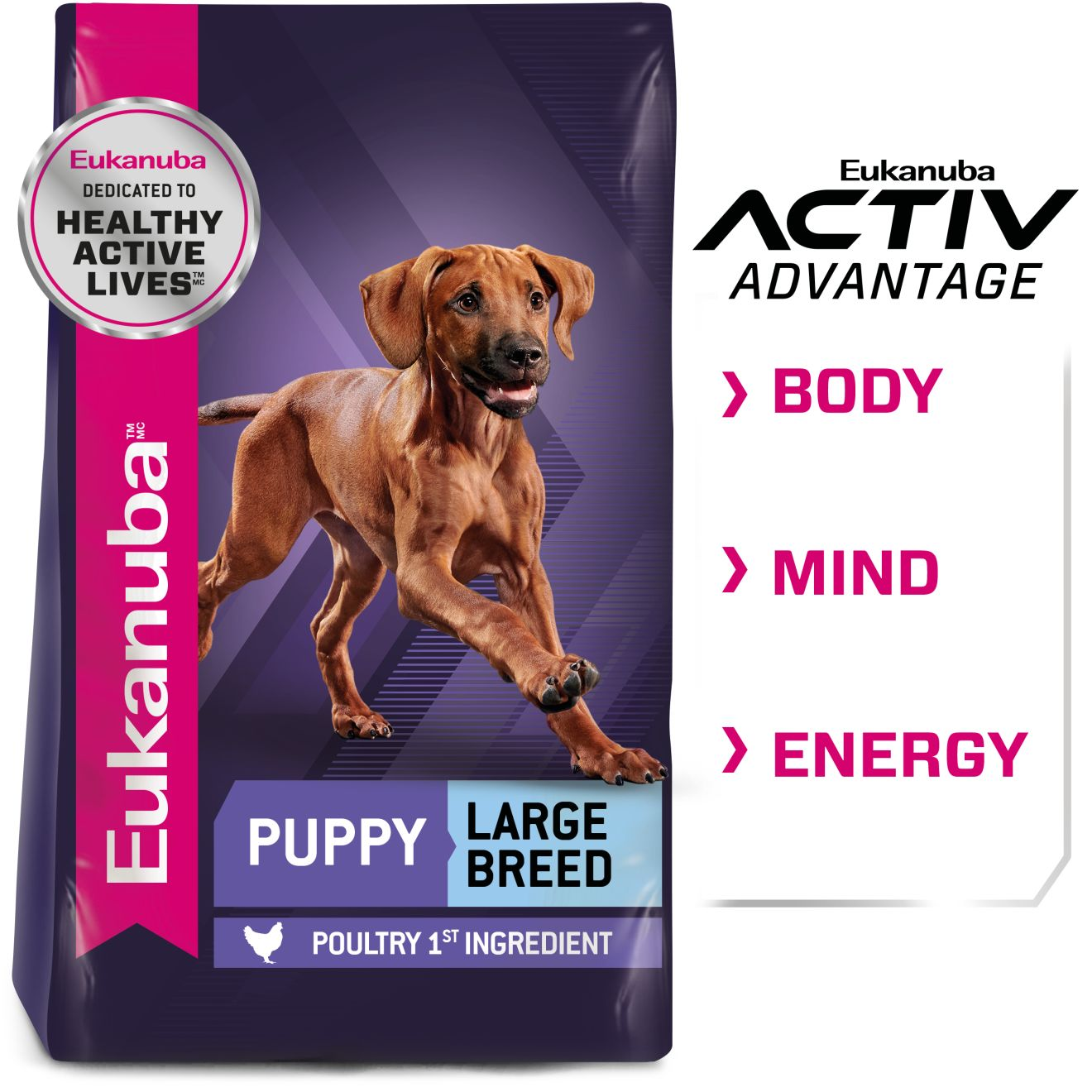 Healthy advantage large breed puppy best sale