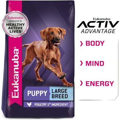 Eukanuba-CORE-Hero Image-Main Visual2-Puppy Large Breed Chicken-ANZ