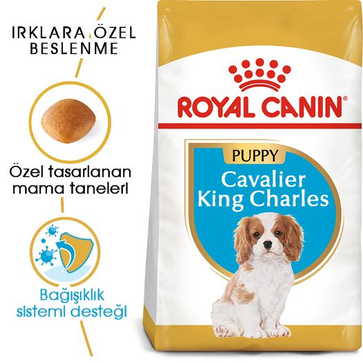 Cavalier King Charles Puppy Yavru Köpek Kuru Maması