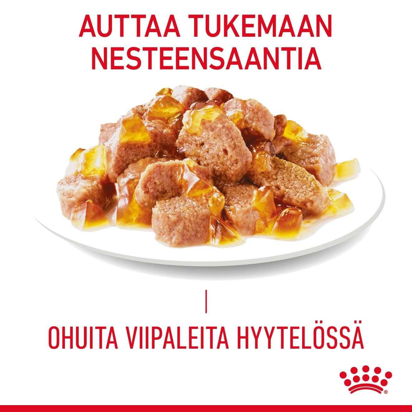 Light Weight Care Jelly Adult