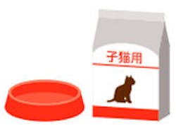 726_Japan_local_BPO SoL Cat Food