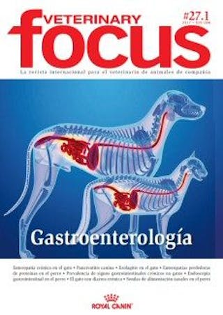 Gastroenterología