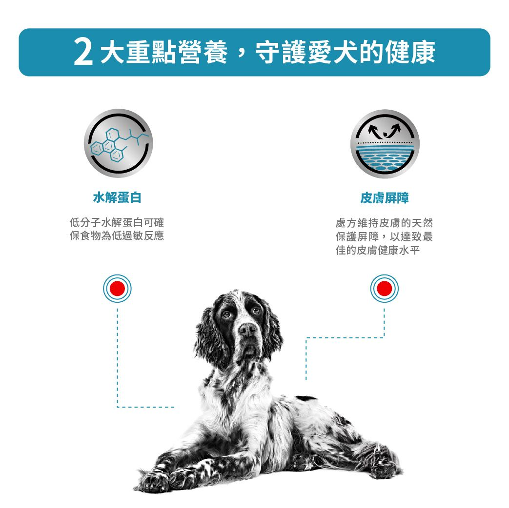 成犬低敏感處方罐頭