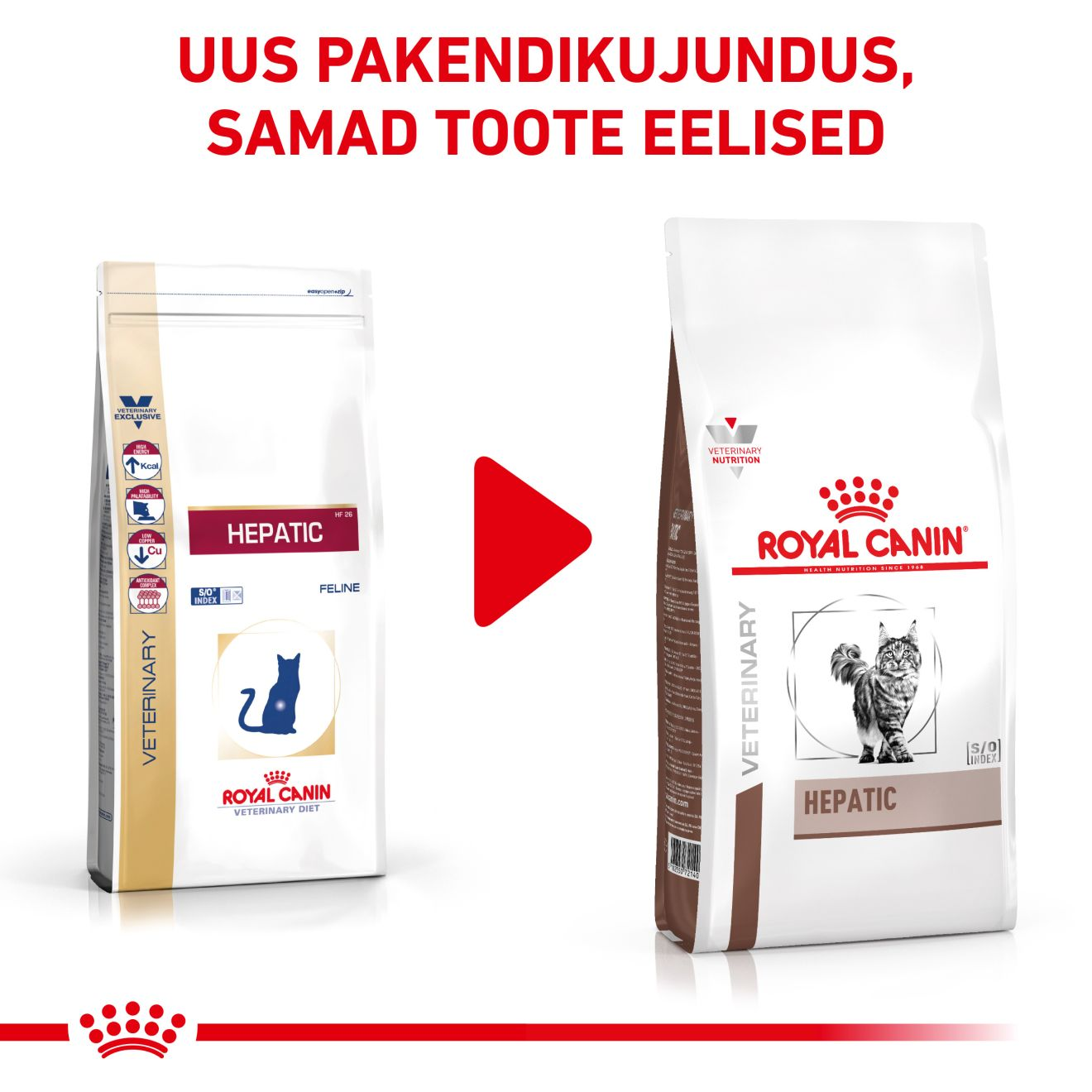 Royal Canin Hepatic Cat kuivtoit