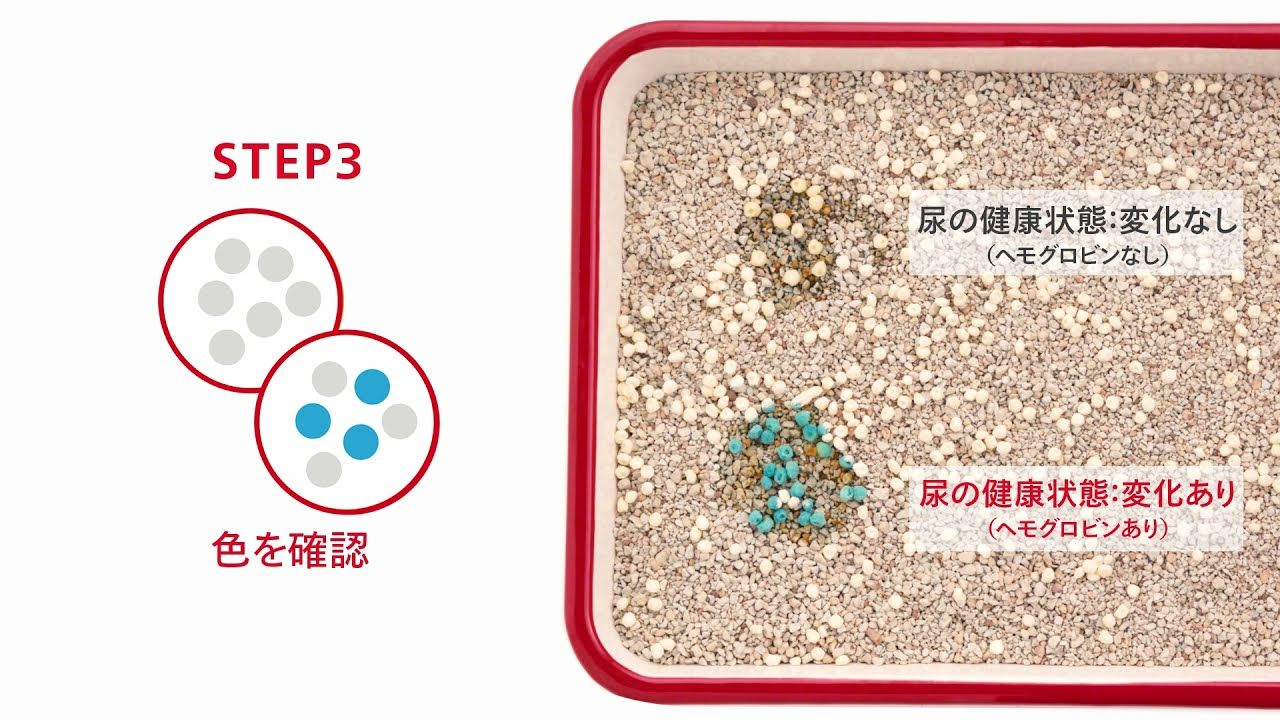 【ロイヤルカナン公式】尿の健康状態の変化を色で知らせる～猫用 尿中ヘモグロビンチェッカー～