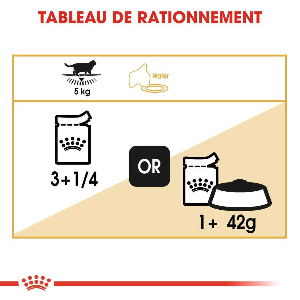 British Shorthair Adult Loaf (pâtée en sauce)