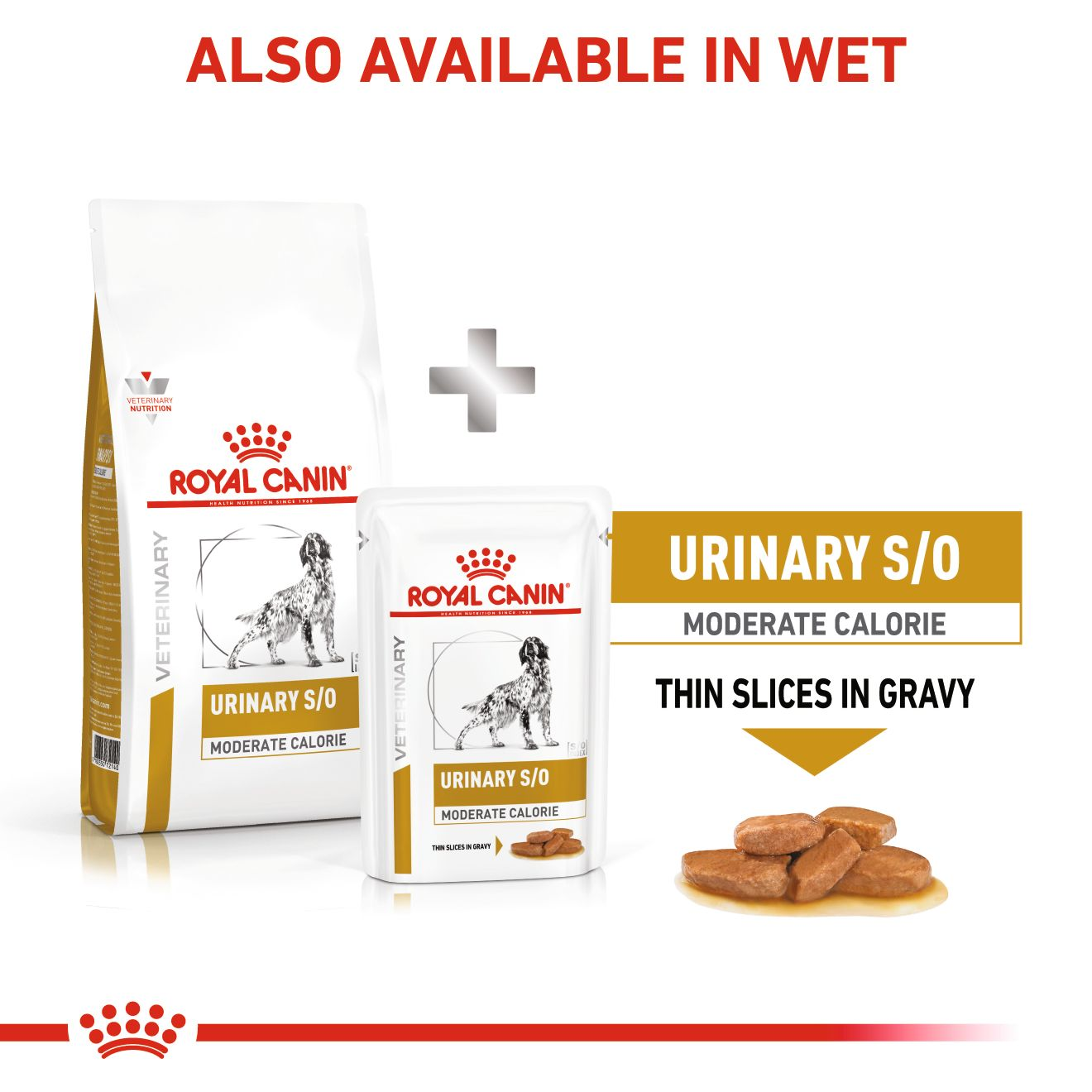 Royal canin urinary moderate best sale calorie dog