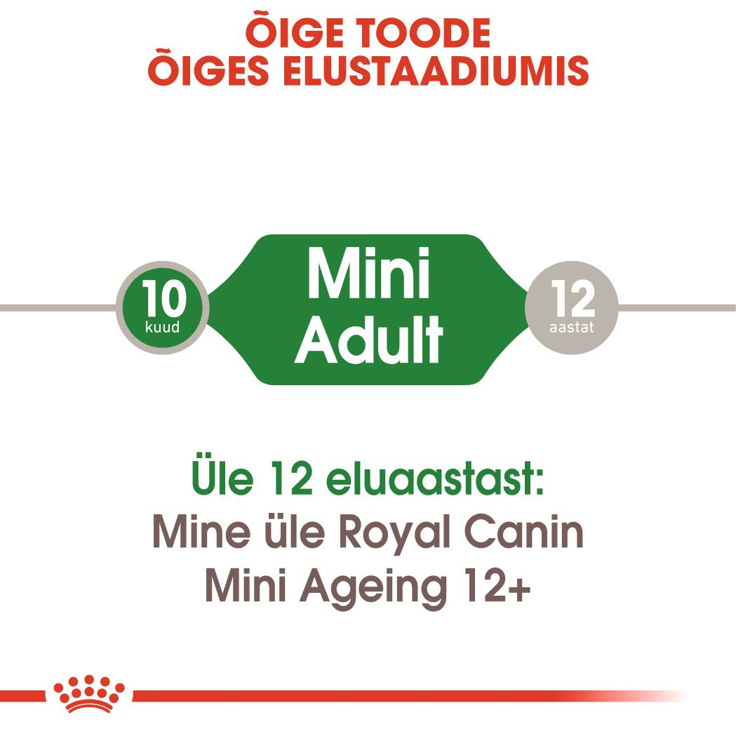 Royal Canin Mini Adult konserv (tükid kastmes)