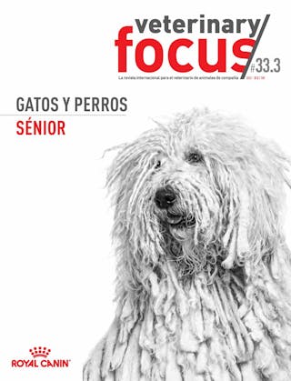 Gatos y perros sénior