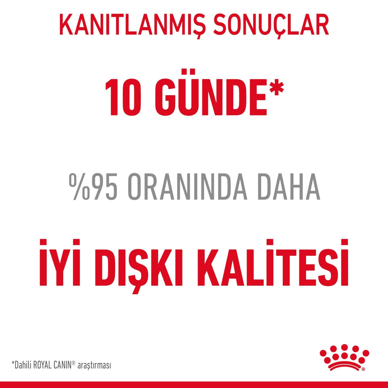 Digestive Care Yetişkin Kedi Yaş Maması