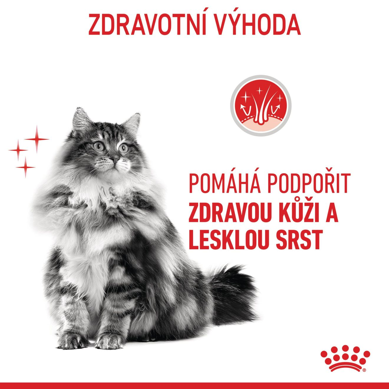 HAIR&SKIN CARE kousky ve šťávě