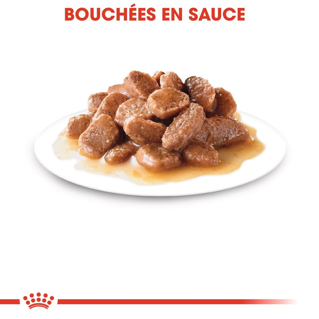 Sterilised en sauce