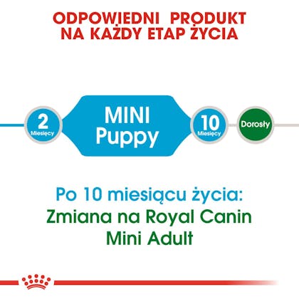 RC-SHN-Puppy-Mini-CV1_006_POLAND-POLISH