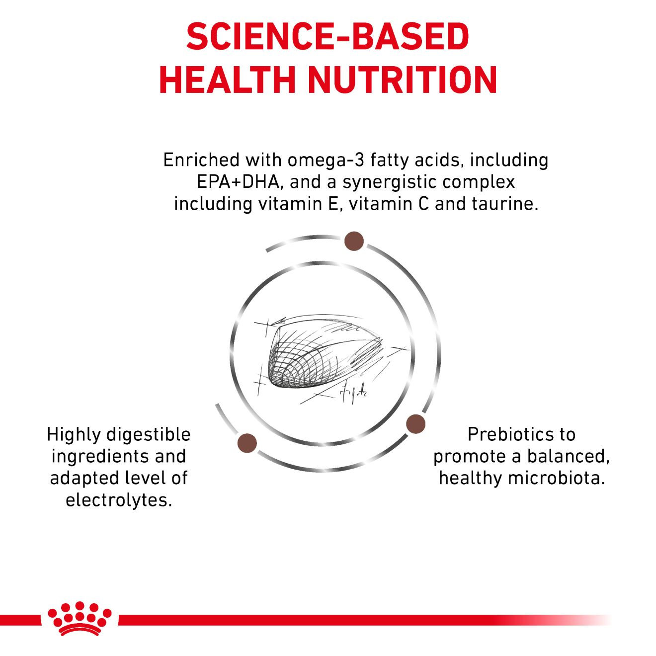 Feline Gastrointestinal Hydrolyzed Protein