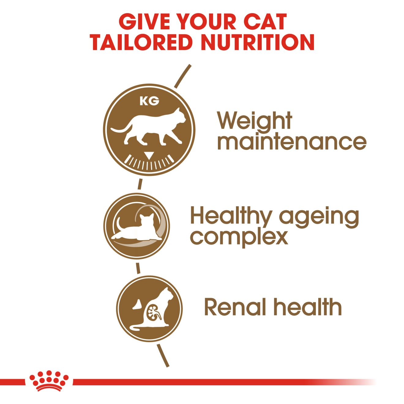 Sterilised Ageing 12+ – Cat Food | Royal Canin UK
