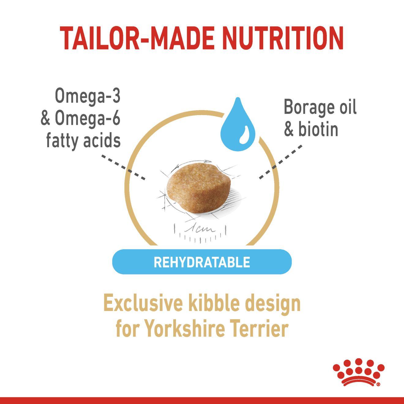 Yorkshire Terrier 8+