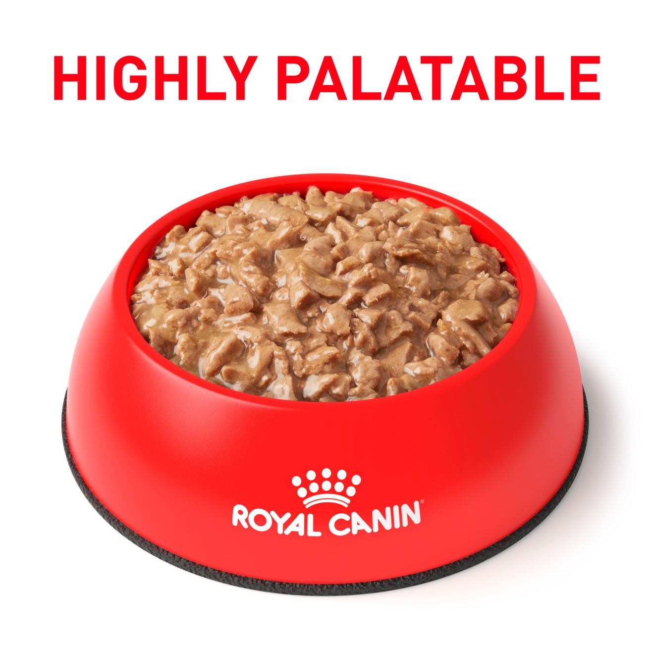 Royal canin feline urinary shop so morsels in gravy