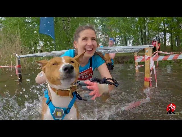 HARD DOG RACE – ROYAL CANIN