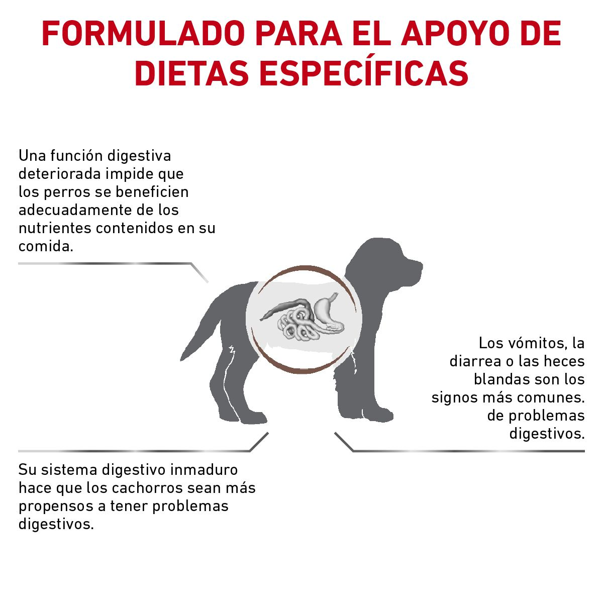 Gastro-Intestinal Puppy