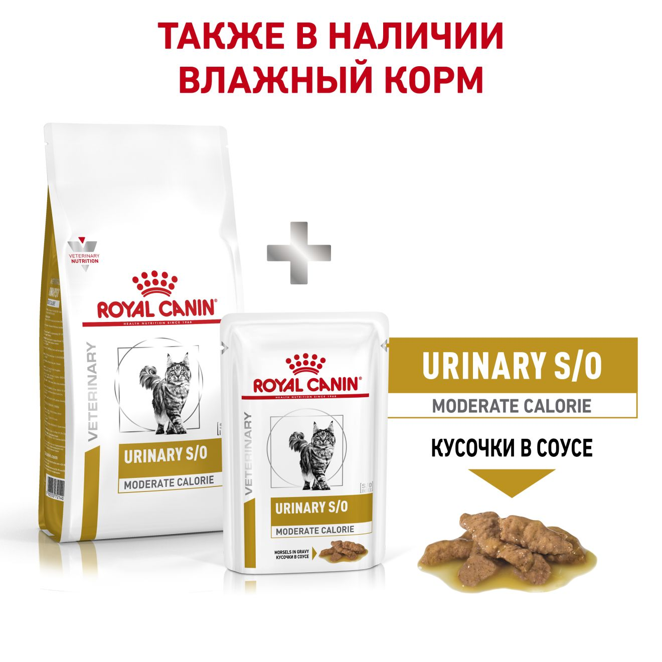 royal canin so moderate calorie cat food