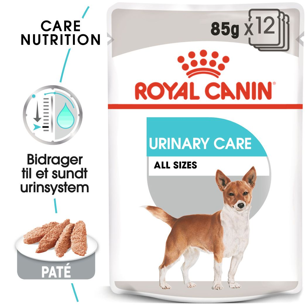Urinary Care Wet