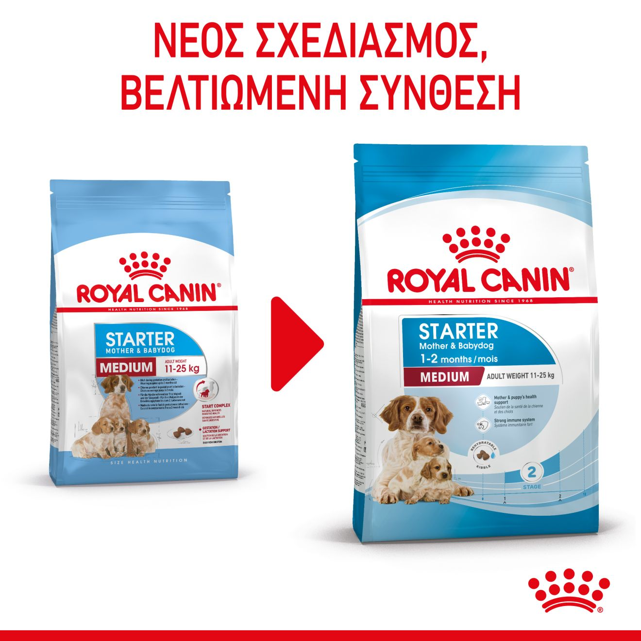 STARTER Mother & Babydog - MEDIUM