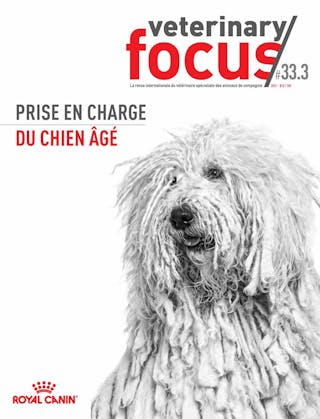 Prise en charge du chien âgé