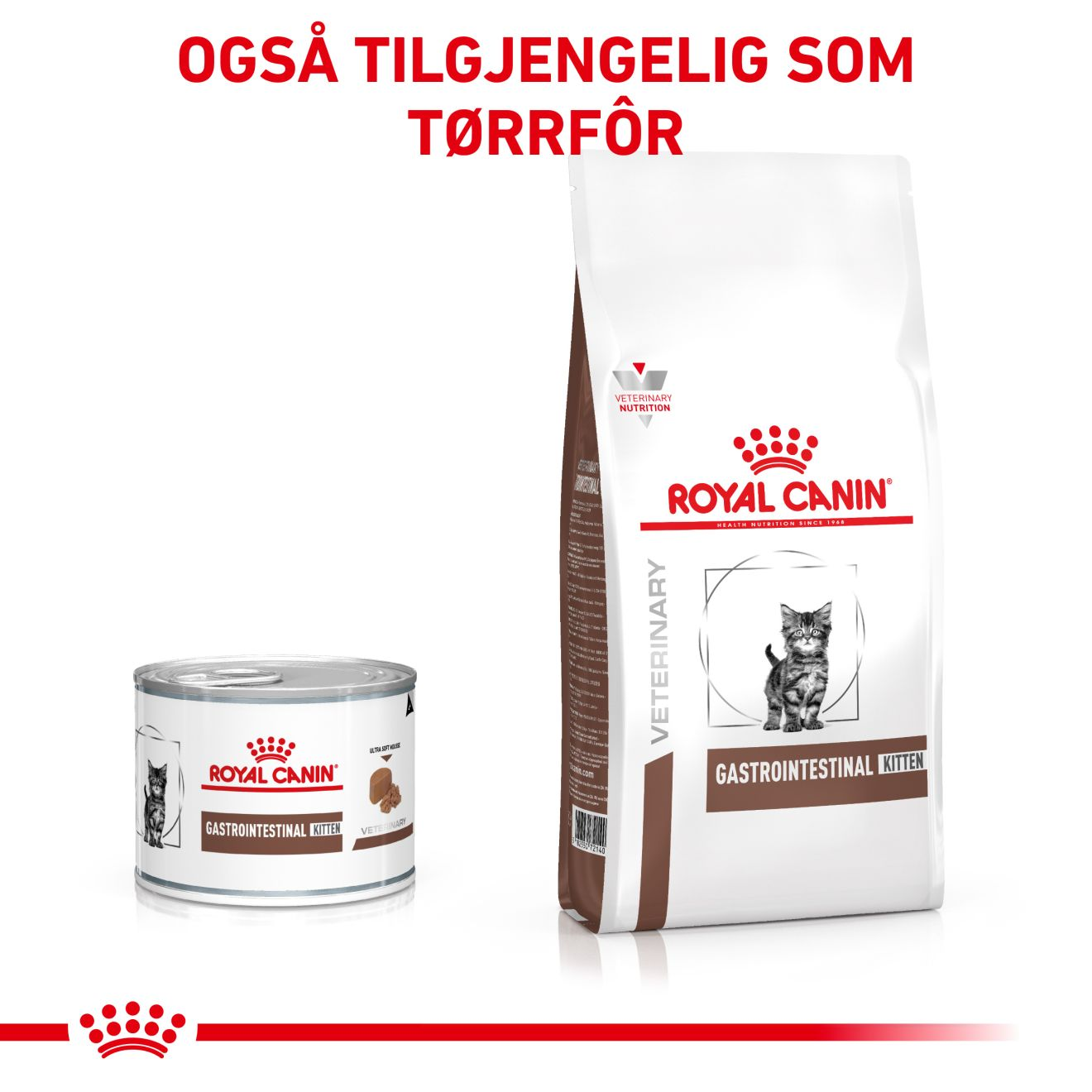 Gastrointestinal Kitten Mousse