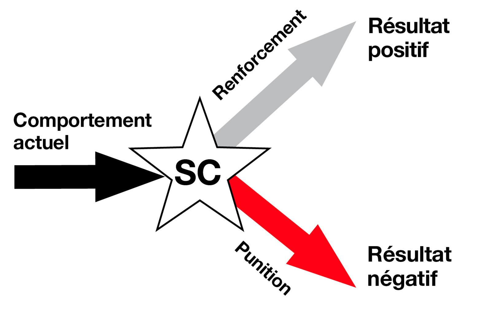 Conditionnement oprant.Un conditionnement oprant implique
