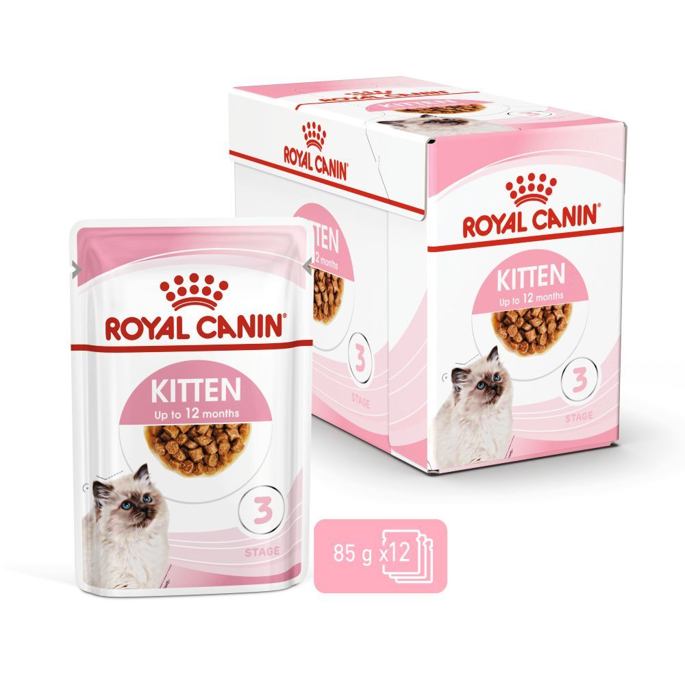 Kitten Gravy Yavru Kedi Yaş Maması