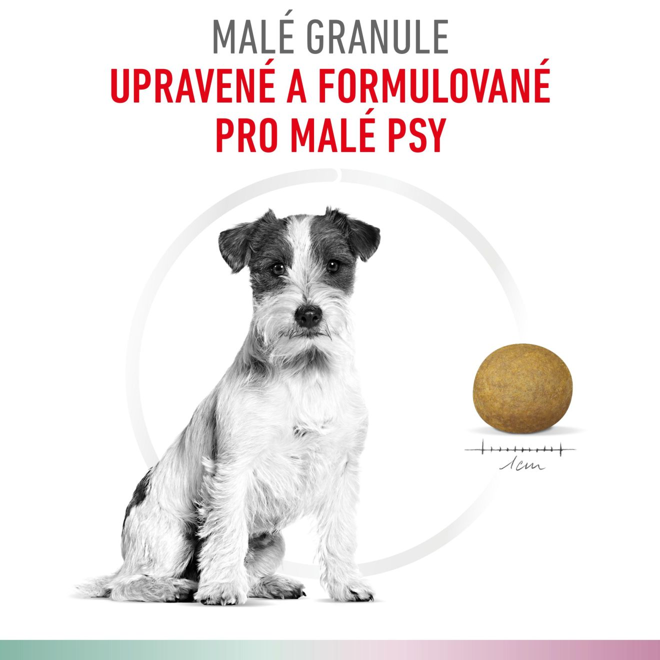 VHN Dog CA Satiety - Mobility Small
