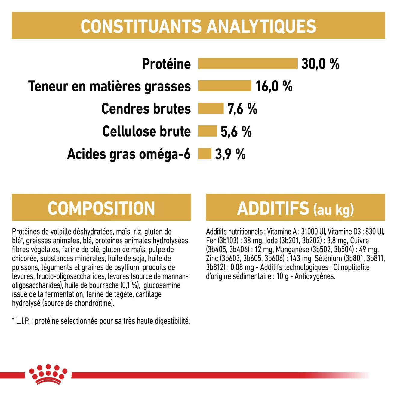 Norvégien Adulte