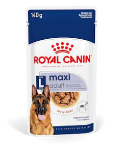 Maxi Adult en sauce
